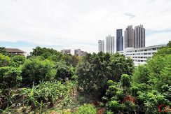 City Garden Tropicana Wong Amat Pattaya Condo For Sale & Rent 1 Bedroom With City & Garden Views - CGT05